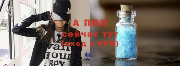 spice Пестово