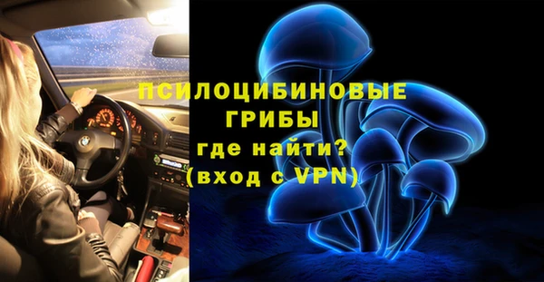 spice Пестово
