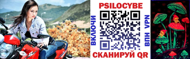 Псилоцибиновые грибы Cubensis  закладка  Уржум 